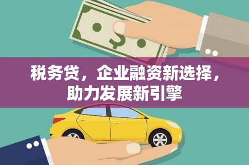 横县税务贷，企业融资新选择，助力发展新引擎
