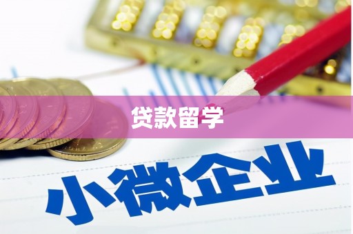 横县贷款留学