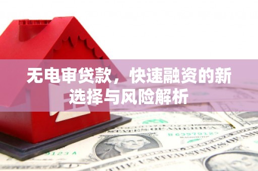 横县无电审贷款，快速融资的新选择与风险解析