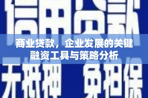 横县商业贷款，企业发展的关键融资工具与策略分析