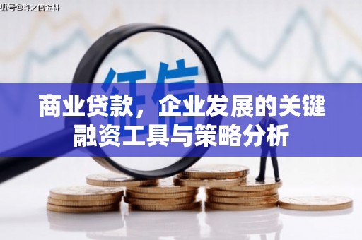 横县商业贷款，企业发展的关键融资工具与策略分析