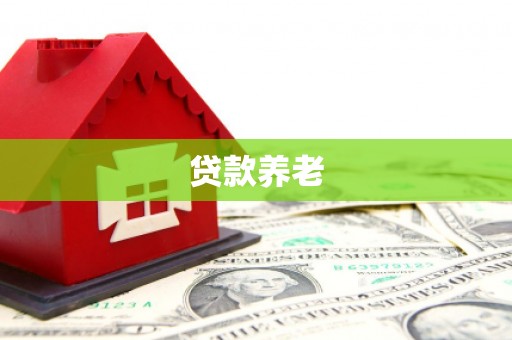 横县贷款养老