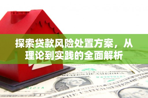 横县探索贷款风险处置方案，从理论到实践的全面解析