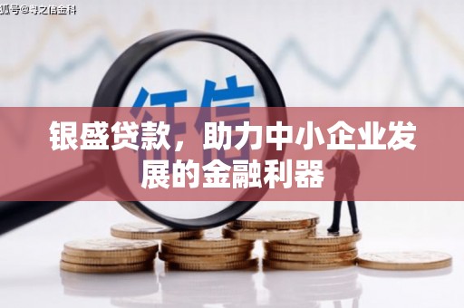 横县银盛贷款，助力中小企业发展的金融利器
