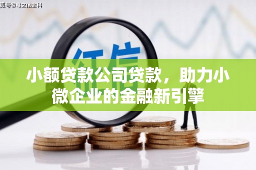 横县小额贷款公司贷款，助力小微企业的金融新引擎