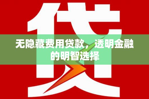 横县无隐藏费用贷款，透明金融的明智选择