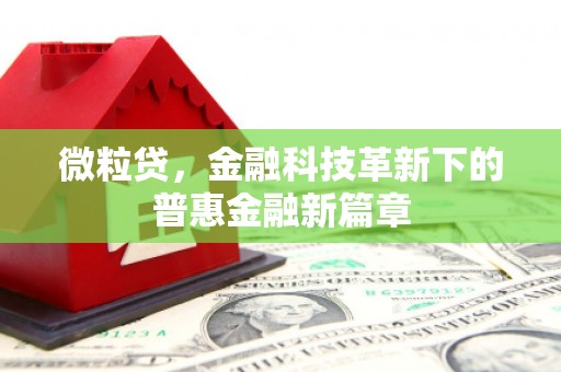 横县微粒贷，金融科技革新下的普惠金融新篇章