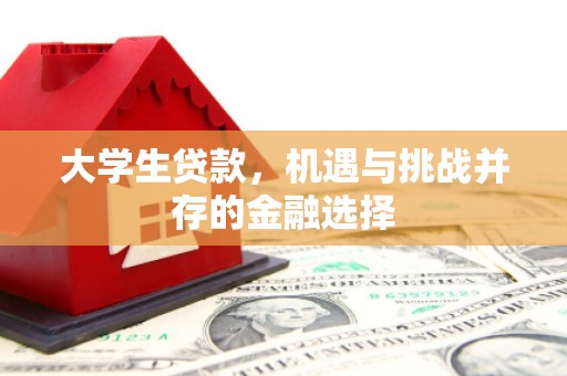 横县大学生贷款，机遇与挑战并存的金融选择