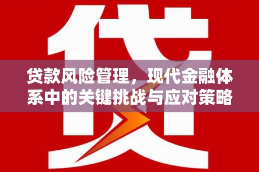 横县贷款风险管理，现代金融体系中的关键挑战与应对策略