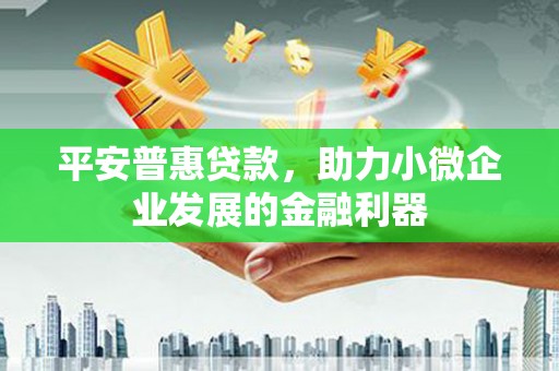 横县平安普惠贷款，助力小微企业发展的金融利器