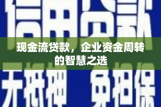 横县现金流贷款，企业资金周转的智慧之选