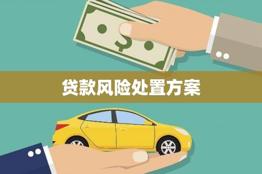 横县贷款风险处置方案