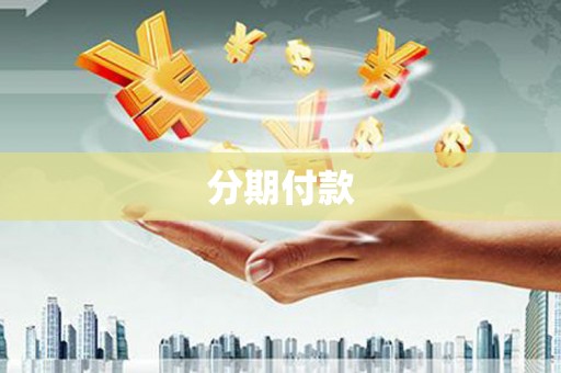 横县分期付款