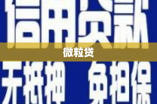 横县微粒贷