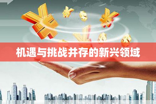 横县机遇与挑战并存的新兴领域