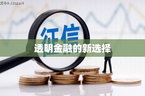 横县透明金融的新选择