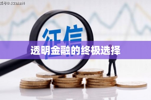 横县透明金融的终极选择