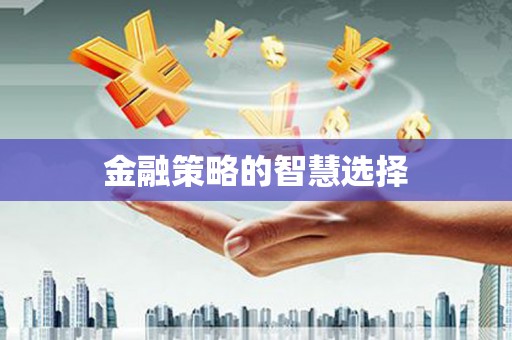 横县金融策略的智慧选择