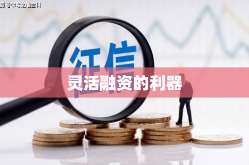 横县灵活融资的利器