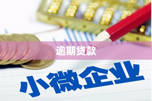 横县逾期贷款