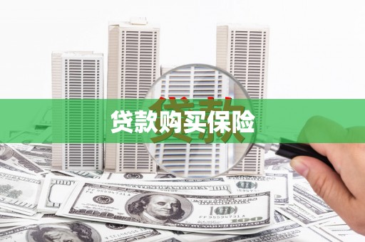 横县贷款购买保险