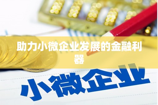 横县助力小微企业发展的金融利器