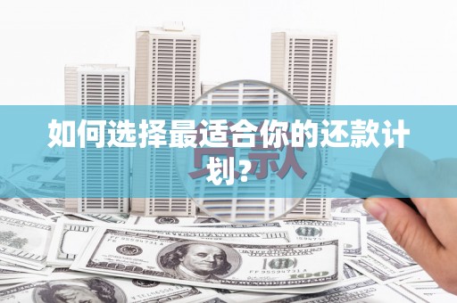 横县如何选择最适合你的还款计划？