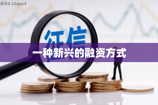 横县一种新兴的融资方式