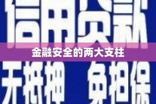 横县金融安全的两大支柱