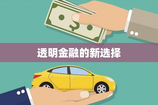 横县透明金融的新选择
