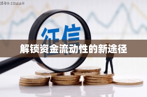 横县解锁资金流动性的新途径