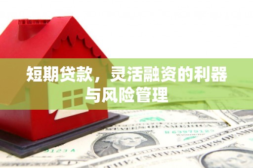横县短期贷款，灵活融资的利器与风险管理